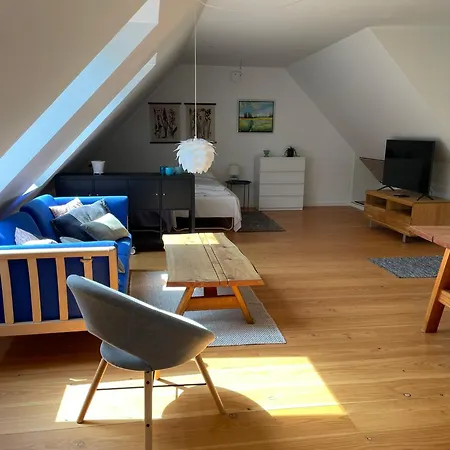Strandsegard Apartment Olsted