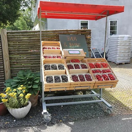 Strandsegard Ølsted